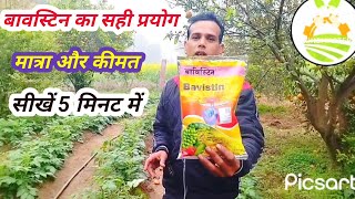 Bavistin fungiside uses। फैंगिसाइड का प्रयोग कैसे करें। फैंजिसाइड की सही मात्रा की जानकारी । [upl. by Methuselah]