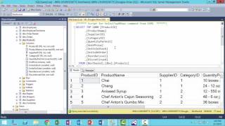 SQL Server Management Studio Intro [upl. by Briggs790]