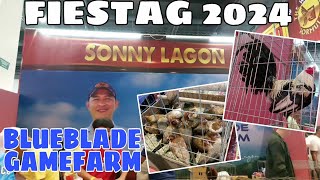 FIESTAG 2024  BLUEBLADE GAMEFARM by SONNY LAGON  BALERIANS GAMEYARD [upl. by Quintie]