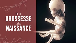 Grossesse 🤰 les désagréments du premier trimestre SANS tabou 😱 fatigue 😴 nausées 🤢 douleurs [upl. by Nuahs781]