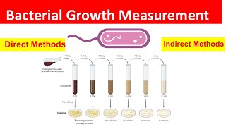 Bacterial Growth Measurement Direct and Indirect Methods Explained [upl. by Eniledam]