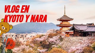 EXPLORE Kyoto amp Nara ¡Mis MEJORES EXPERIENCIAS [upl. by Allbee]