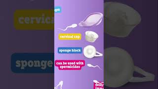 How do contraceptives work [upl. by Atena]