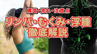 リンパとむくみのまとめ セミナー セラピスト リハビリ 神経痛 リハビリ 解剖学 柔道整復師 治療 [upl. by Vickey]