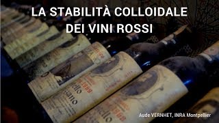 La stabilità colloidale dei vini rossi [upl. by Viccora]