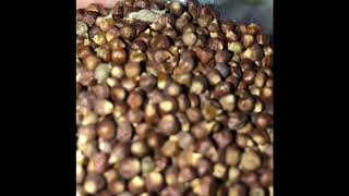 Grains of Paradise  Guinea Peppers  Good vs Bad Hoodoo Herbs [upl. by Enerod319]