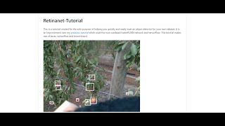 Object Detector Training Tutorial with RetinanetKeras [upl. by Drarig108]