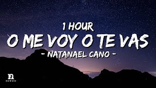 1 HOUR Natanael Cano  O Me Voy O Te Vas LetraLyrics Loop 1 Hour [upl. by Keppel]