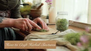 All About Crafting Tinctures  Herbal Medicine Making  How to Guide [upl. by Alban]