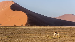 Namibia amp Botswana im Juli Teil 14 in 4k [upl. by Navnod]