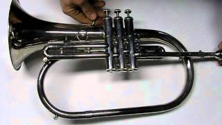 Introduction to the Flugelhorn on a 3 Valve Getzen Capri Model 595S Intermediate [upl. by Areik623]