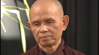 Looking Deeply Into The Nature of Things Thich Nhat Hanh [upl. by Aenel]