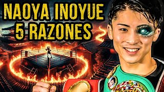 5 razones por las que Naoya Inoue VENCERÁ a Luis Nery  Monstruo vs Pantera [upl. by Ikin]