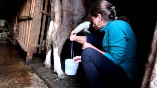 Marina learning to milk Montenegro 2012 [upl. by Quincey173]