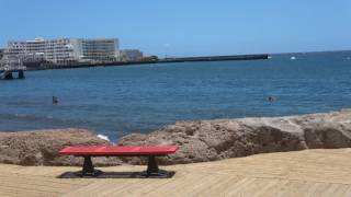 EL MEDANO TENERIFE EN 4K  Alberto [upl. by Giamo864]