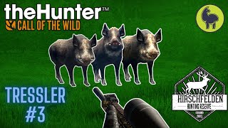 Tressler 3 Hirschfelden  theHunter Call of the Wild PS5 4K [upl. by Crin]