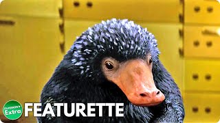 FANTASTIC BEASTS AND WHERE TO FIND THEM 2016  Creatures Niffler Featurette [upl. by Uis]