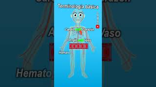 Terminología médica  Terminología de enfermería  Terminología de ciencias de la salud [upl. by Uahsoj]