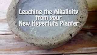 Leaching the Alkalinity from Your New Hypertufa Planter [upl. by Nonah598]