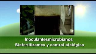 Inoculantes microbianos [upl. by Cos]