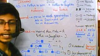 5 Pedigree analysis  sex linked inheritance [upl. by Annaert943]