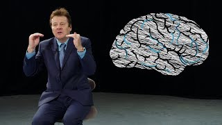 Can adults have ADHD A psychiatrist explains the symptoms [upl. by Notsahc]