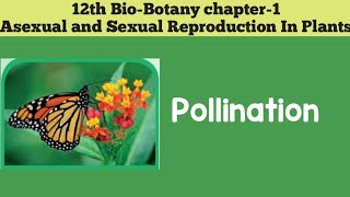 12th biobotany chapter1 Asexual And Sexual Reproduction In Plants POLLINATION 12th SCERT [upl. by Hgielrac]