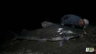 Catch of a Lifetime  Reeling in a Piraiba Beast  River Monsters [upl. by Idet66]