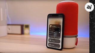 How to connect ZIPP and ZIPP MINI to Amazon Echo Dot [upl. by Ocinom772]