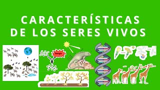 Características de los Seres Vivos [upl. by Robyn]