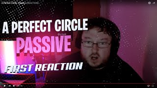 A Perfect Circle  Passive REACTION [upl. by Anairotciv298]