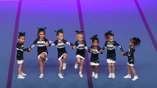 Cheer Sport Pocket Sharks Tiny Prep 1 [upl. by Lamej]