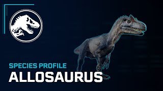 Species Profile  Allosaurus [upl. by Urdna]