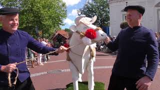 Dorpsfeest Markelo 2018 Grote Optocht [upl. by Merissa]