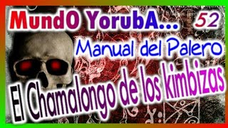 🔴 Manual básico de la Interpretación de las caídas de los chamalongos [upl. by Kimmie142]