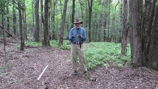 Secrets to Working With Dowsing RodsWith Tips and Exercises [upl. by Arraet406]