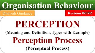 Meaning of Perception perception process perceptual process ob organisational behaviour [upl. by Phillipp]