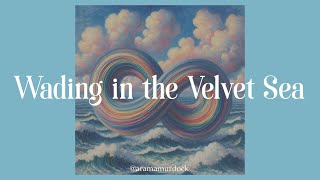 Wading in the Velvet Sea  Phish instrumental cover  Arama Murdock [upl. by Eidnalem]