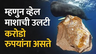 Sperm Whale Vomit म्हणजेच Ambergris प्रचंड महाग आणि बेकायदेशीर असण्यामागे हे आहे कारण  Bol Bhidu [upl. by Arakal]