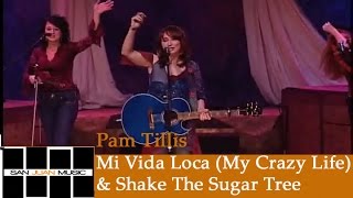 Pam Tillis Live Mi Vida Loca My Crazy Life amp Shake The Sugar Tree [upl. by Aerahs]