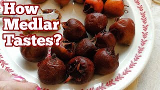 How Medlar Tastes  Description By Someone Who Never Tasted Medlar Before [upl. by Namrac]