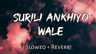 Surili Ankhiyo Wale   Slowed  Reverb  Lyrics  Use Headphones 🎧🎧 [upl. by Ynaffat]