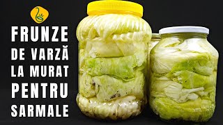 Cea mai buna reteta de SARMALE in foi de varza cu carne tocata si orez 100   Anyta Cooking [upl. by Ecertal157]