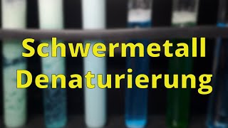 Denaturierung durch Schwermetalle  Bio Experimente [upl. by Nertie]