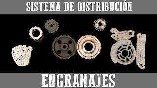 🔴 Sistema de distribución ENGRANAJES distribucion cadena vs piñones piñon y corona  Motorparts [upl. by Annaira]