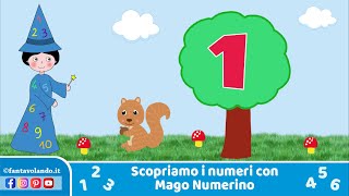 Scopriamo i numeri con Mago Numerino [upl. by Bernadene]