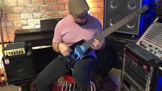 Steinberger Spirit XT25 Demo [upl. by Suoicserp499]