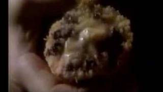 Pepperidge Farm Muffin Commercial 1985 [upl. by Anauqahc]