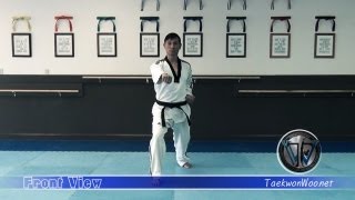 Taekwondo Knife Hand Twist Block amp Punch  TKD Basics for Beginners  TaekwonWoo [upl. by Hardan]