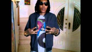 Vybz Kartel  Party Me Say Worldwide Riddim Feb 2012 [upl. by Adur]